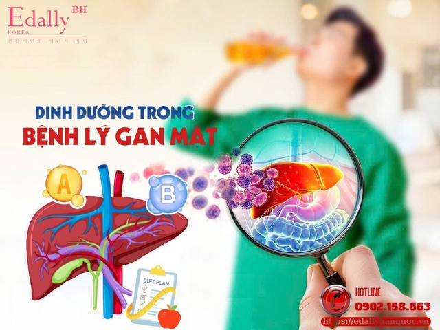 Chế độ dinh dưỡng trong bệnh lý gan mật - Chìa khóa bảo tồn chức năng gan và hỗ trợ hồi phục hiệu quả