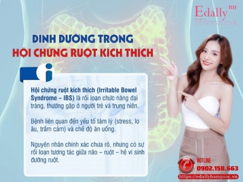 Dinh Dưỡng Trong Hội Chứng Ruột Kích Thích (IBS)