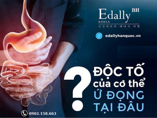 Tại Sao Cần Phải Đào Thải Độc Tố Trong Cơ Thể?