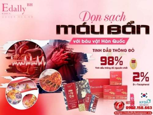 Máu Bẩn - Nhìn Từ Góc Độ Đông Y Và Tây Y - Tác Hại Khôn Lường Hay Sự Nguy Hiểm Bị Bỏ Quên?