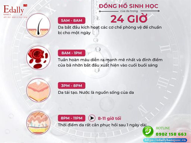 Đồng hồ sinh học của da trong 24 giờ