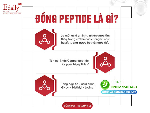 Đồng Peptide là gì?