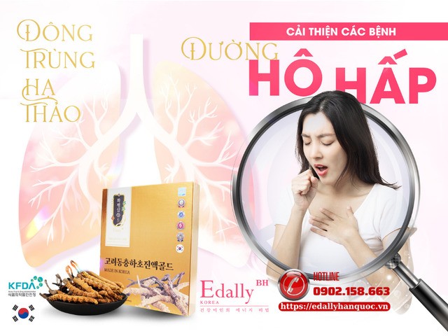 Tinh chất đông trùng hạ thảo Edally Hwa Pyung Sam - Bí quyết phòng ngừa và hỗ trợ điều trị bệnh phổi tắc nghẽn mãn tính (COPD) Tinh chất đông trùng hạ thảo Edally Hwa Pyung Sam - Bí quyết phòng ngừa và hỗ trợ điều trị bệnh phổi tắc nghẽn mãn tính (COPD)