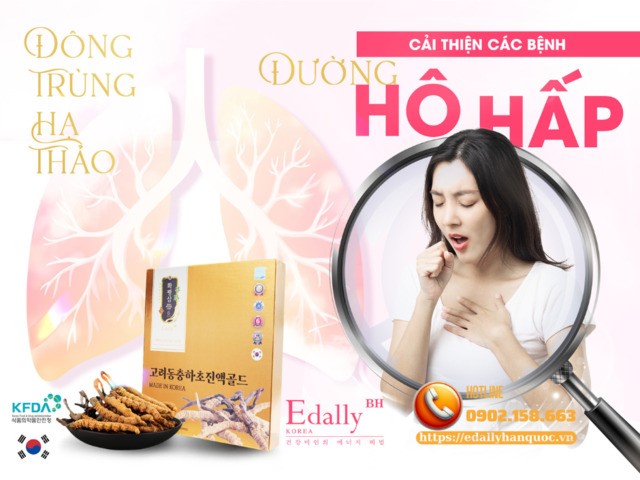 Tinh chất Đông trùng hạ thảo Hàn Quốc Edally Hwa Pyung Sam - Bí quyết ngăn ngừa và điều trị hiệu quả bệnh hen phế quản, bệnh đường hô hấp