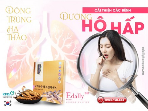 Đông Trùng Hạ Thảo Edally BH Hỗ Trợ Cải Thiện Các Bệnh Đường Hô Hấp Thế Nào?