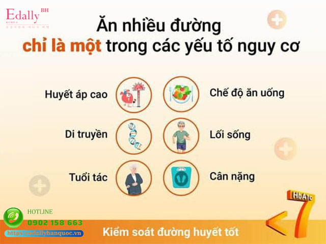 Đường chỉ là một trong các yếu tố nguy cơ gây ra bệnh Đái tháo đường