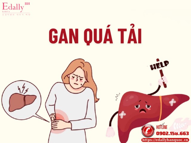 Đường huyết đã ổn định rồi mà cơ thể vẫn mệt mỏi là do gan bị quá tải