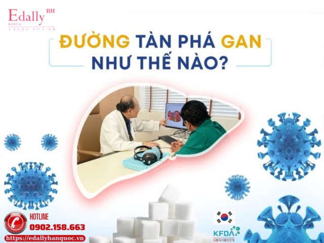 Đường tàn phá lá gan của chúng ta như thế nào?