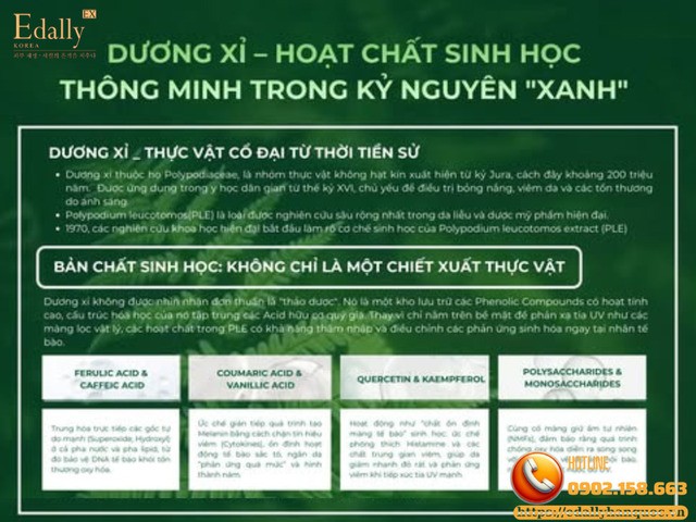 Dương xỉ - hoạt chất sinh học thông minh trong kỷ nguyên xanh