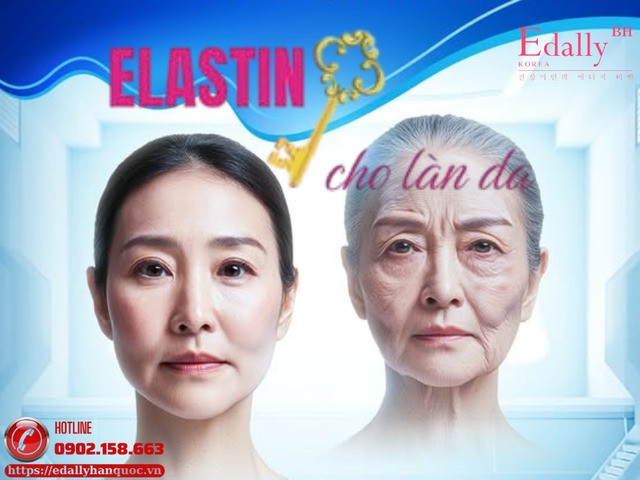 Elastin chìa khoá của làn da săn chắc và đàn hồi