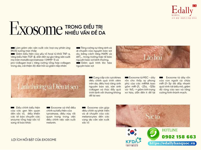 Exosome được ứng dụng trong điều trị nhiều vấn đề về da