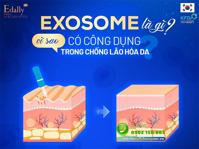 Exosome là gì? Vì sao Exosome được ứng dụng trong chống lão hóa da?