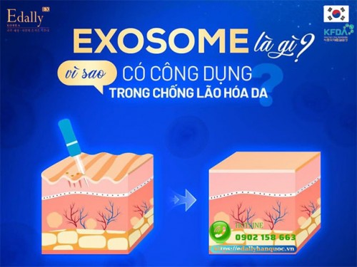 Exosome Là Gì Và Có Tác Dụng Gì Đối Với Làn Da?