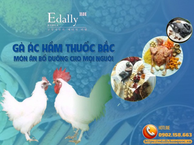 Gà Ác Hầm Thuốc Bắc - Món Ăn Bổ Dưỡng Cho Mọi Người