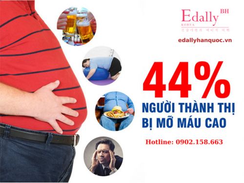 Mỡ Máu Cao Là Gì? Dấu Hiệu Nhận Biết Và Giải Pháp Giảm Mỡ Máu Hiệu Quả?