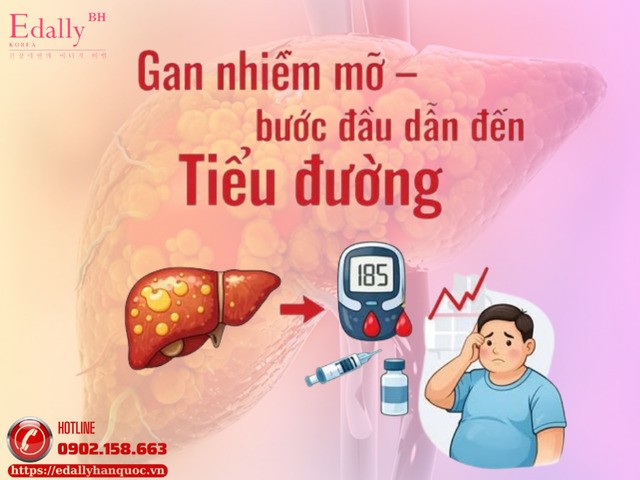 Gan nhiễm mỡ - bước đầu dẫn đến tiểu đường