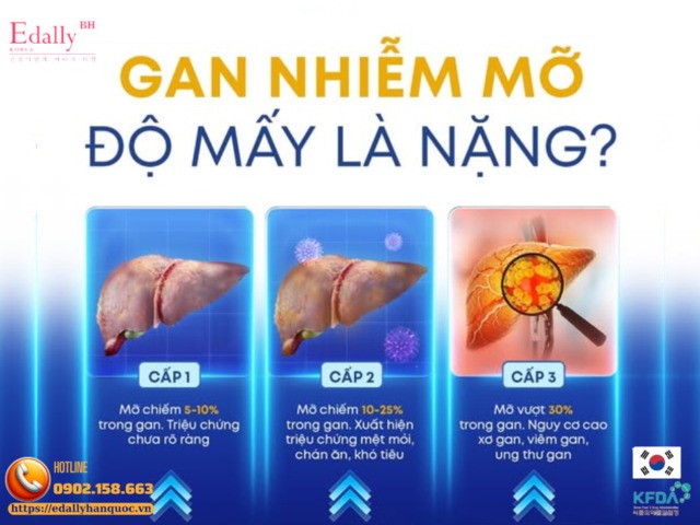 Các giai đoạn của bệnh gan nhiễm mỡ
