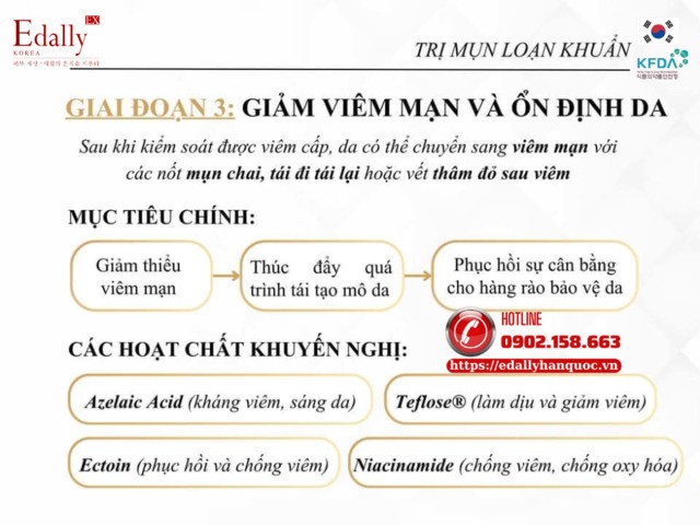 Giai đoạn điều trị mụn loạn khuẩn bằng việc giảm viêm mạn và ổn định da