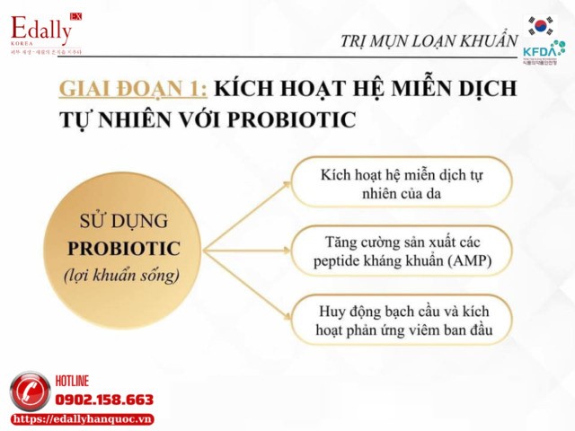 Giai đoạn điều trị mụn loạn khuẩn bằng việc kích hoạt hệ miễn dịch với Probiotics