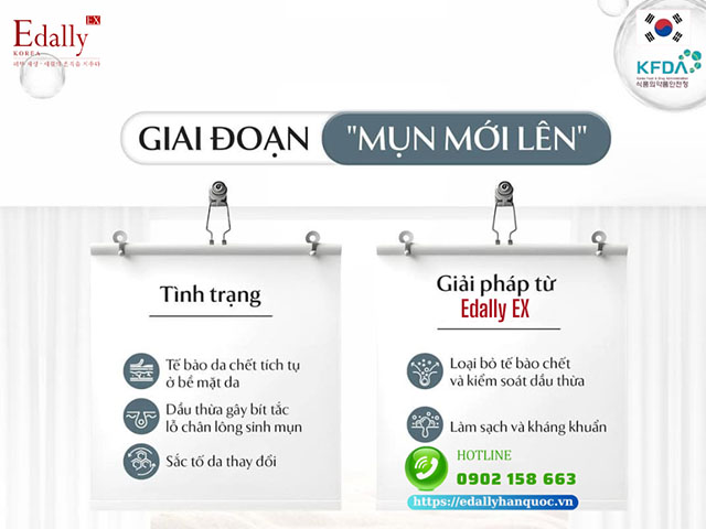 Quy trình phát triển của mụn và cơ chế xử lý mụn ở giai đoạn mụn mới lớn lên từ Mỹ phẩm Edally EX Hàn Quốc