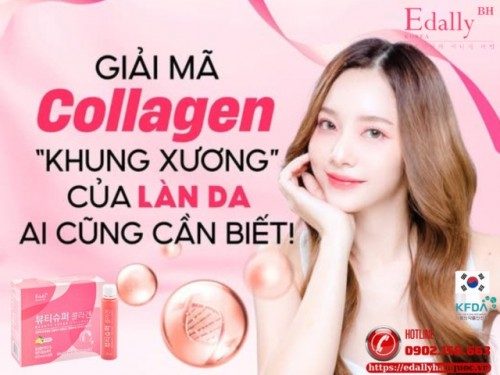 Giải Mã Collagen - Khung Xương Của Làn Da Mà Ai Cũng Cần Biết