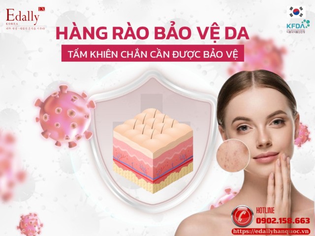 Giải mã hàng rào bảo vệ da - Hệ thống phòng thủ độc đáo của làn da