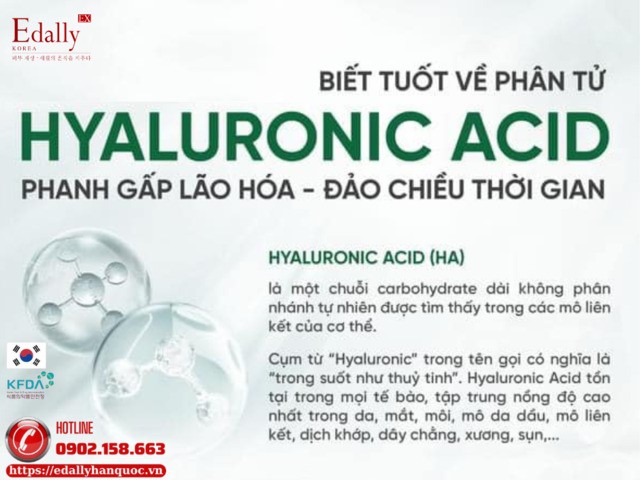 Biết tuốt về Hyaluronic Acid (HA) - Phân tử giúp da phanh gấp lão hóa, đảo chiều thời gian