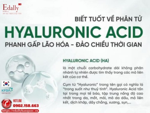 Hyaluronic Acid (HA) - Phân Tử Giúp Da Phanh Gấp Lão Hóa, Đảo Chiều Thời Gian