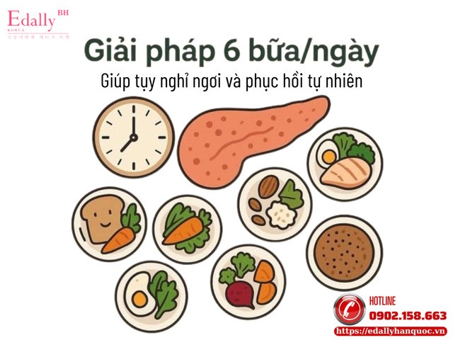 Giải pháp 6 bữa/ngày: Giúp tụy nghỉ ngơi và phục hồi tự nhiên