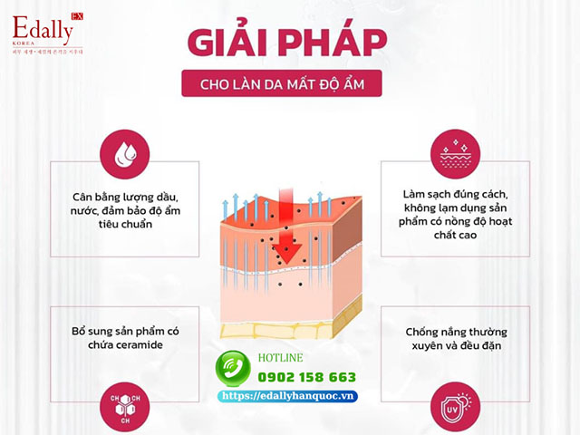 Giải pháp phục hồi và chăm sóc hàng rào bảo vệ da cho làn da mất độ ẩm