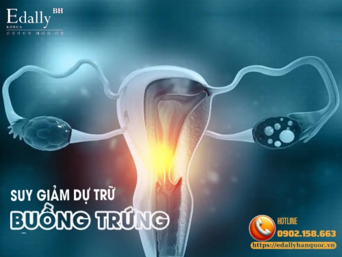 Giảm Dự Trữ Buồng Trứng Ở Người Trẻ - Y Học Cổ Truyền Có Vai Trò Như Thế Nào?