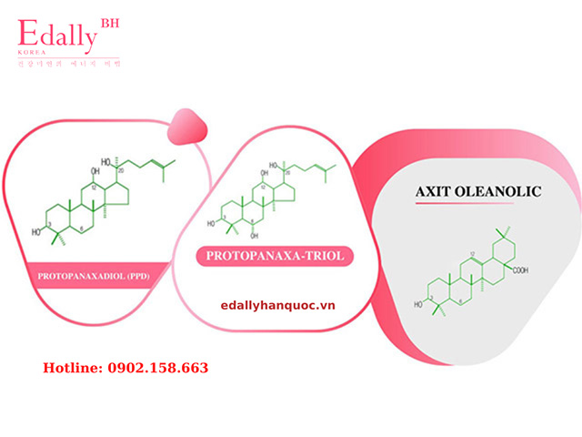 Các Saponin trong Nhân Sâm được gọi là Ginsenoside được chia làm 3 loại là Protopanaxadiol (PPD), Protopanaxa-triol, Axitoleanolic