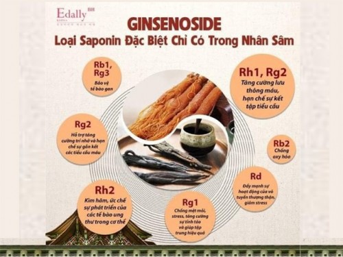 Ginsenoside - Loại Saponin Đặc Biệt Chỉ Có Trong Nhân Sâm