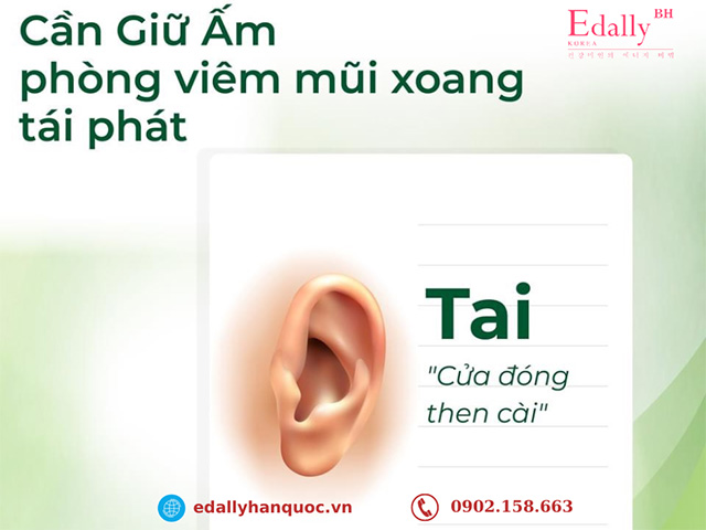 Tai - mũi - họng là 3 bộ phận thông nhau, vì vậy giữ ấm tai để phòng ngừa bệnh viêm xoang mũi tái phát