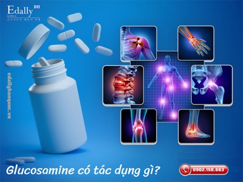 Tác Dụng Của Glucosamine Là Gì?