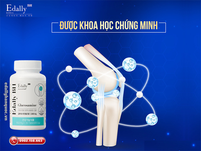 Viên uống xương khớp Glucosamine Edally BH Hàn Quốc đã được khao học chứng minh hiệu quả trong việc điều trị các bệnh lý cơ xương khớp