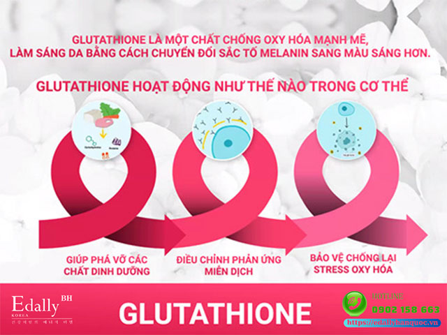 Glutathione hoạt động như thế nào trong cơ thể?
