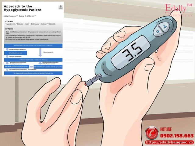Hạ Đường Huyết - Hướng Tiếp Cận Năm 2026