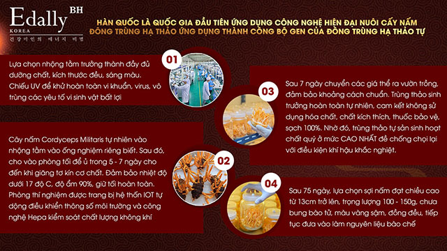 Hàn Quốc là quốc gia đầu tiên ứng dụng thành công bộ gen của Đông trùng hạ thảo tự nhiên trong nuôi cấy Đông trùng hạ thảo nhân tạo