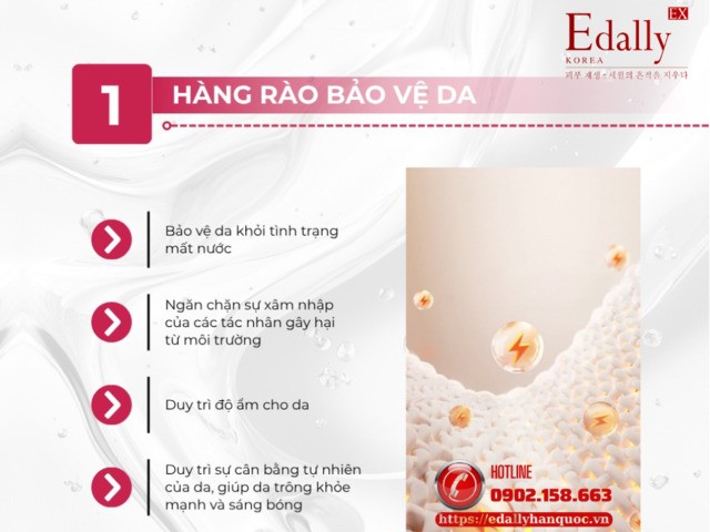 Hàng rào bảo vệ da là gì?