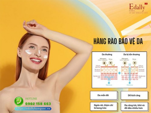 Hàng Rào Bảo Vệ Da Và Những Điều Bạn Cần Phải Biết