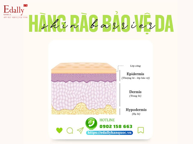 Muốn da đẹp đừng bỏ qua hàng rào bảo vệ da (Skin Barrier)