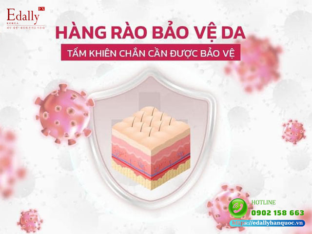 Hàng rào bảo vệ da - Tấm khiên chắn cần phải được bảo vệ