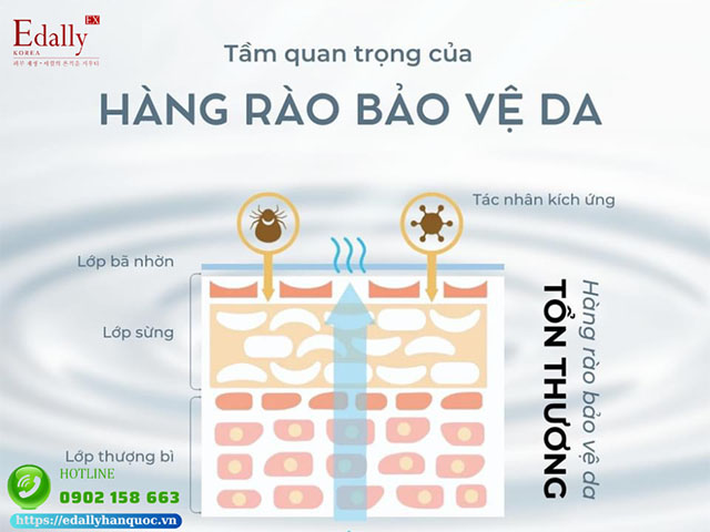 Hàng rào bảo vệ da bị tổn thương