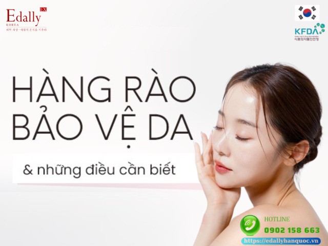 Hàng rào bảo vệ da và những điều bạn cần biết để chăm sóc và phục hồi