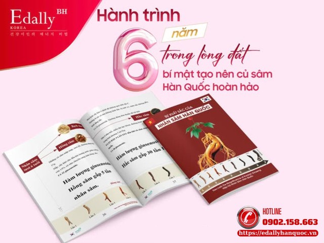 Hành trình 6 năm trong lòng đất - bí mật tạo nên củ Nhân sâm Hàn Quốc hoàn hảo
