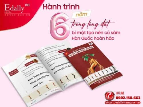 Hành Trình 6 Năm Trong Lòng Đất - Bí Mật Tạo Nên Củ Nhân Sâm Hàn Quốc Hoàn Hảo