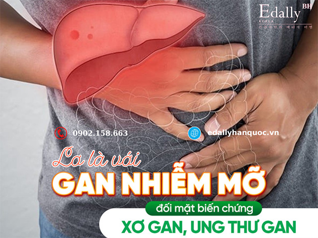 Hậu Quả Của Bệnh Gan Nhiễm Mỡ