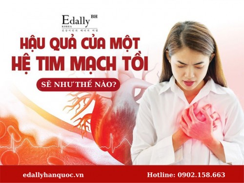 Các Bệnh Tim Mạch Phổ Biến Ở Việt Nam Và Cách Chữa Bệnh Tim Mạch