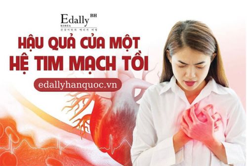 Bệnh Tim Mạch Và Vai Trò Của Hệ Tim Mạch